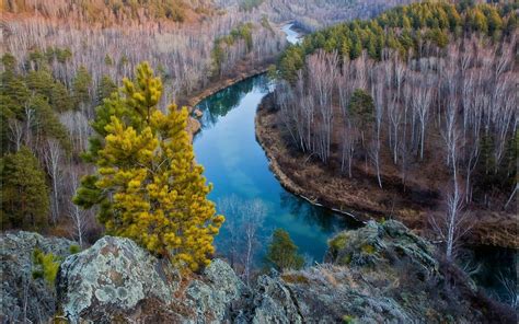 Autumn Landscape Mountain River In Siberia Rocks Trees
