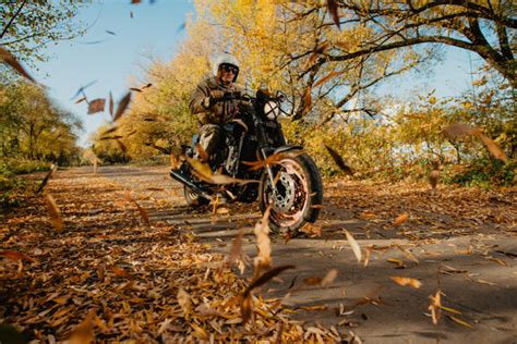 Motorcycle Autumn Trees