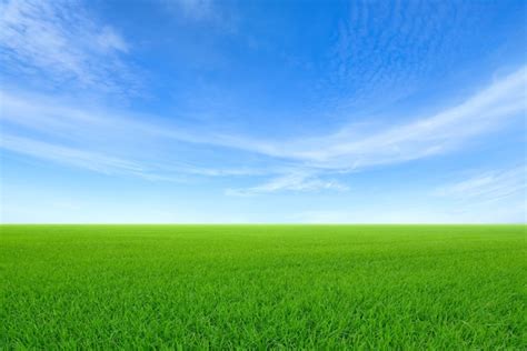 Premium Photo Green Sloping Meadows With Blue Sky And Clouds Background