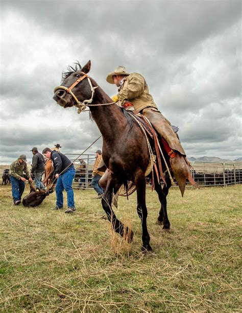 Agriculture Photography By Todd Klassy Photography Cowboys Photos