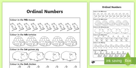 Ordinal Numbers Worksheet Primary Resources