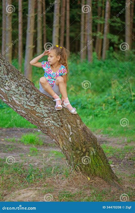 Little Girl Climbed On Tree Stock Photo Image Of Green Outdoors