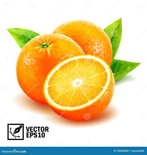 Realistic Vector Set Fresh Whole Oranges And Sliced Orange With Leaves