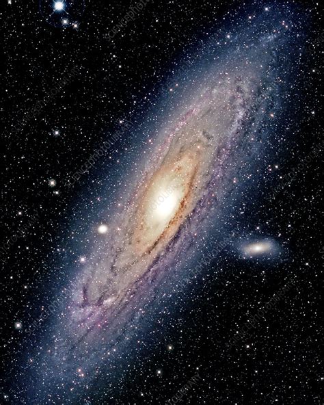 The Constellation Andromeda Stock Image R5500460 Science Photo