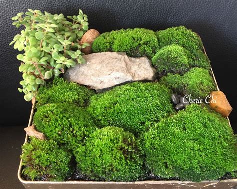 23 Miniature Moss Garden Ideas You Cannot Miss Sharonsable