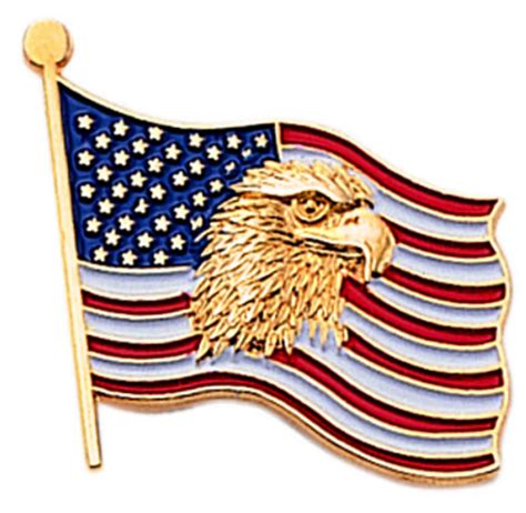 Patriotic Eagle Lapel Pin Golden Openings