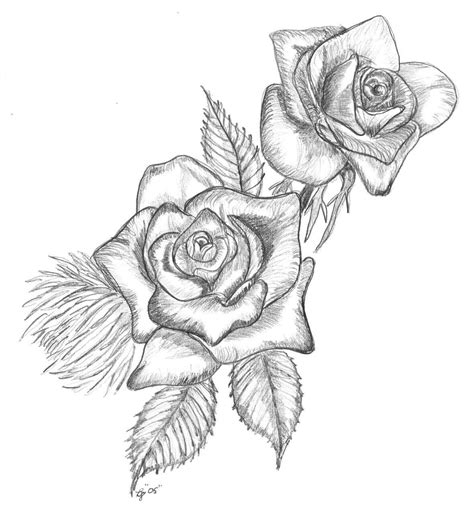 Black And White Roses Drawing Rose Clip Clipart Drawings Drawing Roses Cliparts Simple Sketch