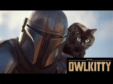 However, since yoda's species was never given a name, until we know and of course you will fall in love with baby yoda too! Pin on All Things Animal
