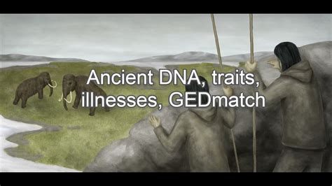 Dna Appearance Of Ancient Beringian Youtube