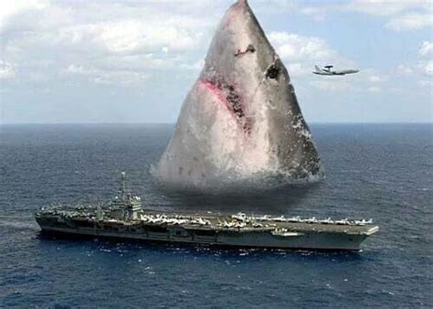 Were Going To Need A Bigger Boat Shark Pictures Big Shark Megalodon