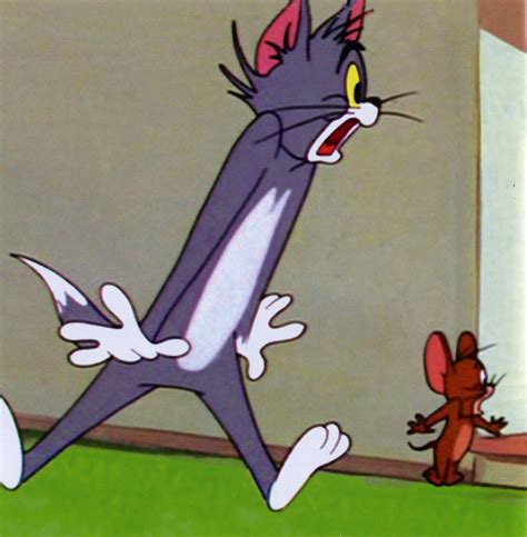 The popular cartoon cat and mouse are thrown into a feature film. The Tom and Jerry Online :: An Unofficial Site ...