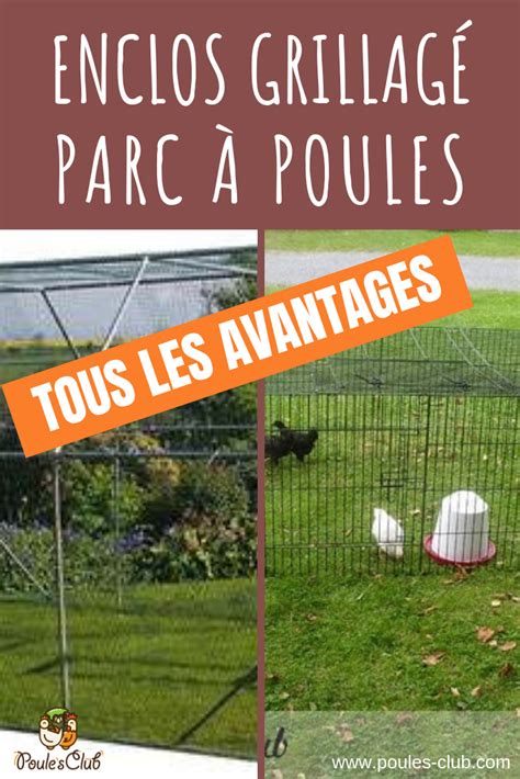 Free Poulaillers Enclos Pour Poules Grillage