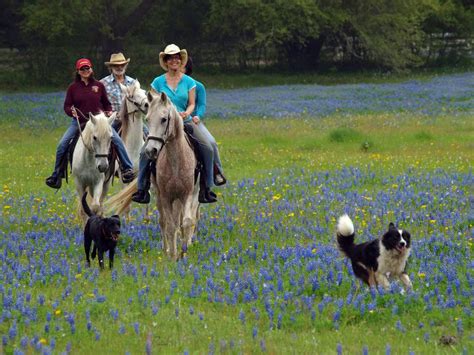 Authentic Texas Getaway Horseback Riding Vacations