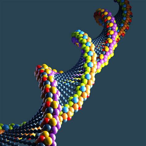 Dna 3d Model