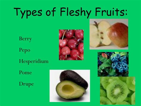 Ppt Fruits Powerpoint Presentation Free Download Id3812957