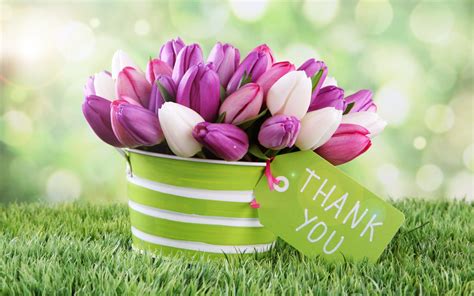 Thank You With Flowers Background Cool Thank You Wallpapers Top Free