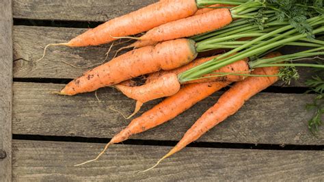 l origine de ces fameuses expressions les carottes sont cuites orthographe et projet