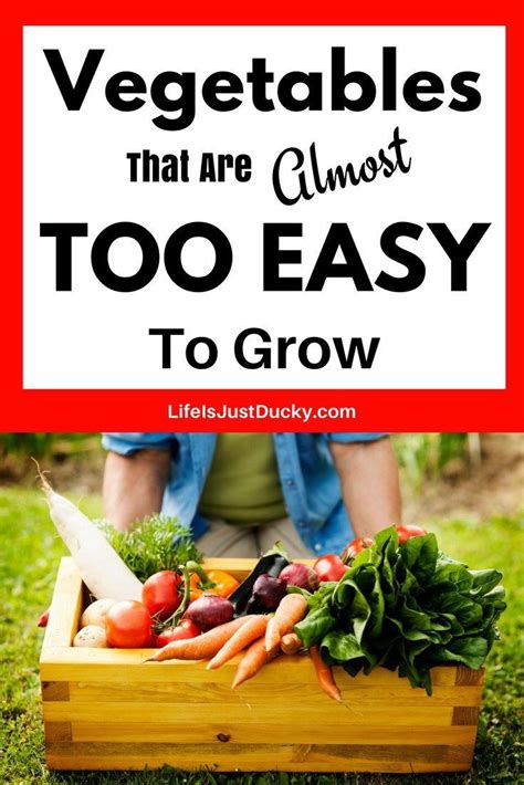 The 12 Easiest Vegetables To Grow In Your Garden And How To Grow Them