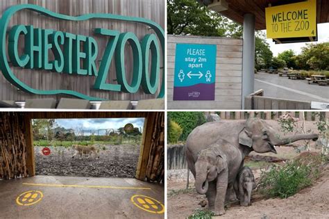 Fife Zoo Fire Emergency Services Scrambled As Park Evacuated After