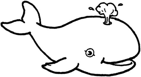 « back ♥ print this blue whale color page animal coloring pages gallery ». Coloring whale picture | Whale coloring pages, Shark ...