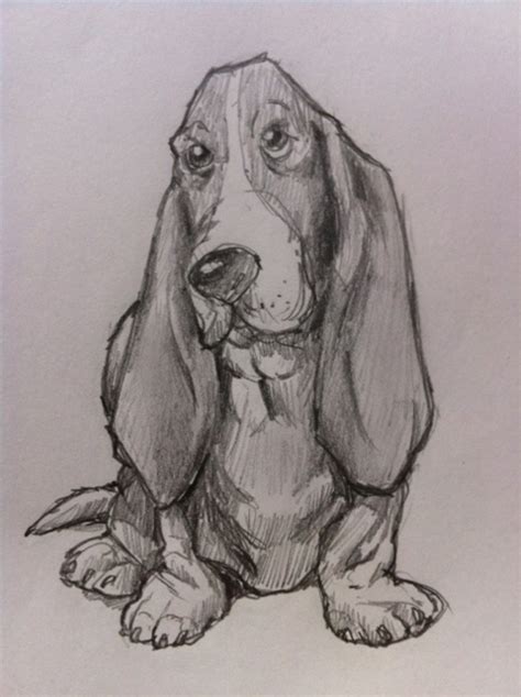 How To Draw A Basset Hound Dog Feltmagnet