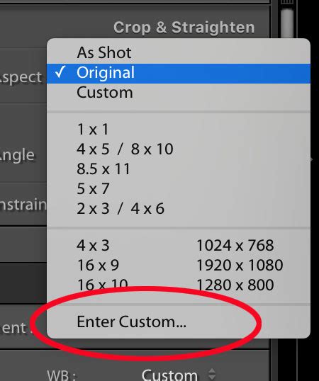 But before we get to those, let's take a look at perhaps the most important piece to the lightroom puzzle: Lightroom Ecosystem: Ability to create a Custom Crop Ratio ...