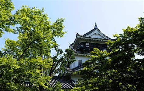 Castillo De Okazaki Aichi Attractions Visita Japón Jnto
