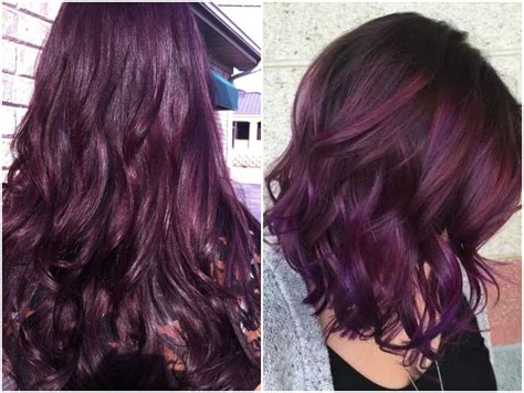 25 Dark Purple Hair Color Long Hairstyles 2016 2017 Of Effy Moom Free Coloring Picture wallpaper give a chance to color on the wall without getting in trouble! Fill the walls of your home or office with stress-relieving [effymoom.blogspot.com]