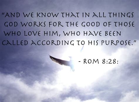 33 Best Bible Verses Quotes God rains down grace on all mankind.