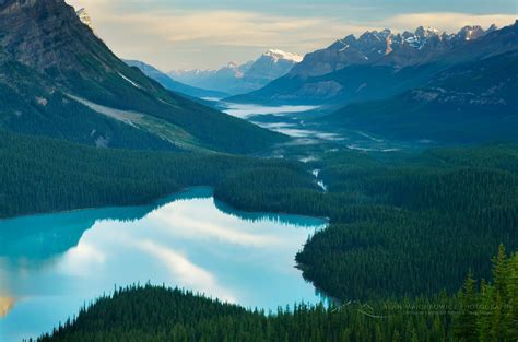 Peyto Lake Banff National Park Alan Majchrowicz Photography