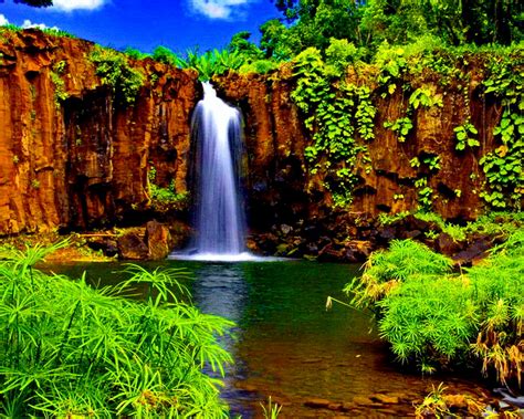 Free Download Tropical Waterfall Computer Wallpapers Desktop Backgrounds 1920x1080 1920x1080