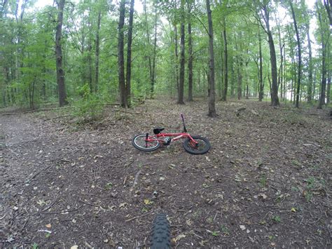 Bloomingdale Park Wooded section Photos