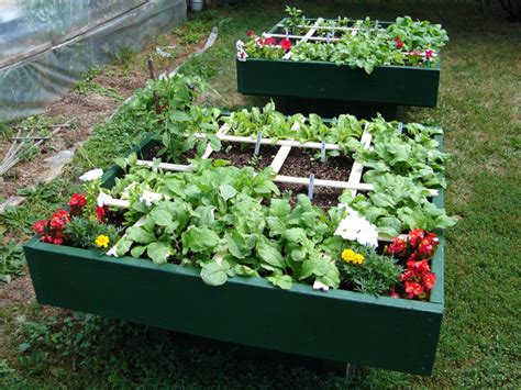 Square Foot Gardening An Easy Way To Grow Your Own Food Hubpages