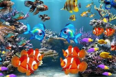 How To Make Your Aquarium Pop With Color