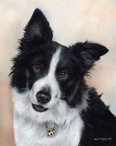 Amazing Works By Sarah Stribbling Wildlife Art Dog Portraits Art Pet