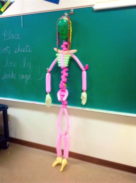 Skeleton Made Out Of Balloons And A Pool Noodle Balloons Making Out