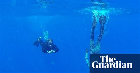 The disappearance on 8 march 2014 of malaysia airlines flight 370, a scheduled international passenger flight from kuala lumpur international airport to beijing capital international airport, prompted a large. MH370 wreckage could be found in a matter of days as new ...