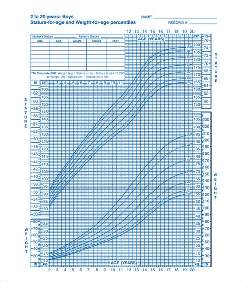 Free 9 Sample Cdc Growth Chart Templates In Pdf