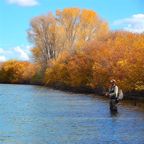 Fly Fish Addiction Stillwater Fall Fly Fishing