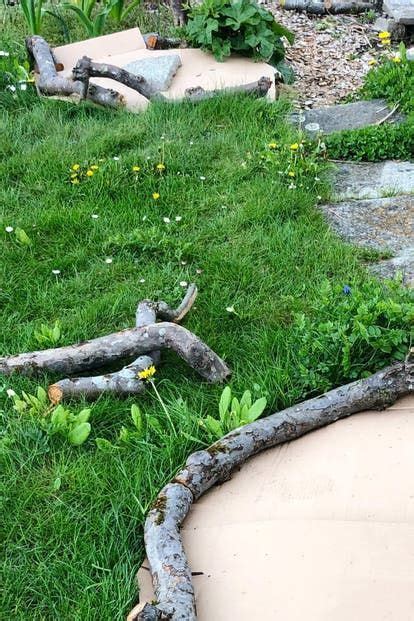 In architektonisch gestalteten gärten mit rechtwinkliger linienführung sind hingegen rechteckige, kreisrunde oder elliptische wasserbecken zu bevorzugen. Ein Gartenbeet ohne Umgraben anlegen: Anleitung und Tipps ...