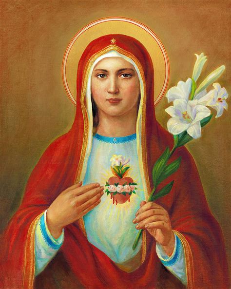 Immaculate Heart Of Mary Ubicaciondepersonascdmxgobmx