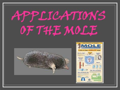 Ppt Applications Of The Mole Powerpoint Presentation Free Download