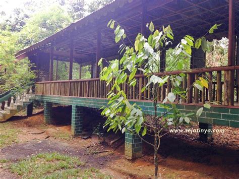 Apakah benar menebang kayu di hutan dekat rumah dipidana meskipun dalam jumlah sedikit? Libur Sehari? Ke Bukit Lawang Aja - Medan Wisata - Travel ...
