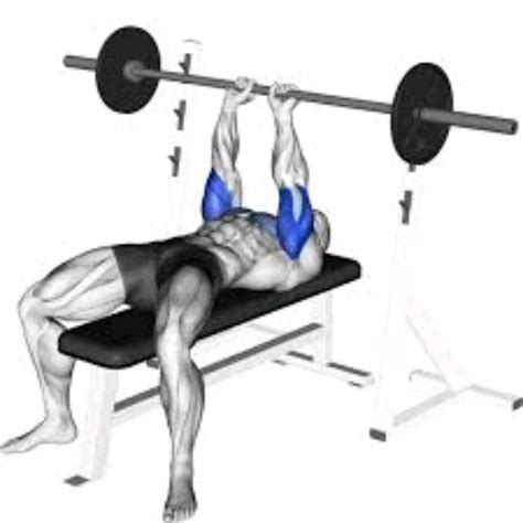 Close Grip Bench Press By Nathan Wenlock Exercise How To Skimble