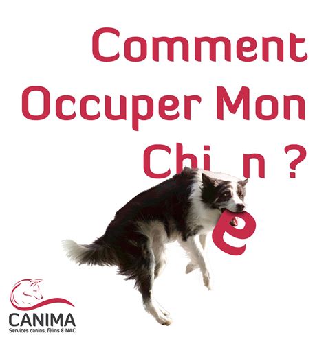 Guides canins Canima - Canima - Services canins, félins & NAC