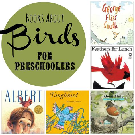 Books About Birds For Preschool Preschool Books Preschool Bird Book