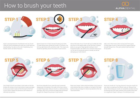 How To Brush Your Teeth Infographic Images And Photos Finder