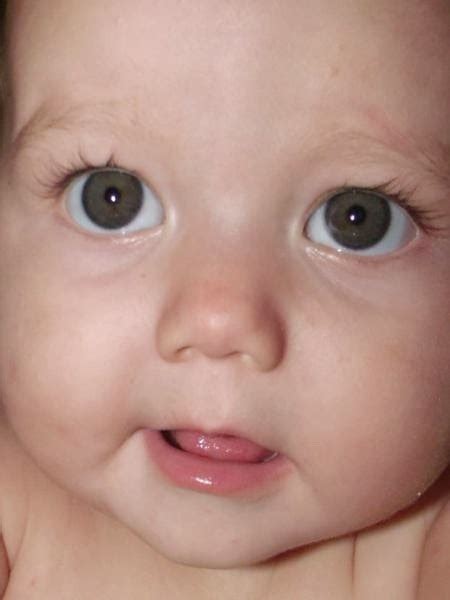 Bebês Sinceros Olhos Verdes Eles Têm