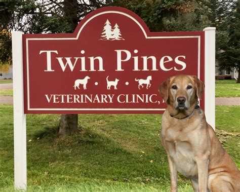 Welcome to northwest neighborhood veterinary hospital! Pets for Adoption at Twin Pines Veterinary Clinic, in ...
