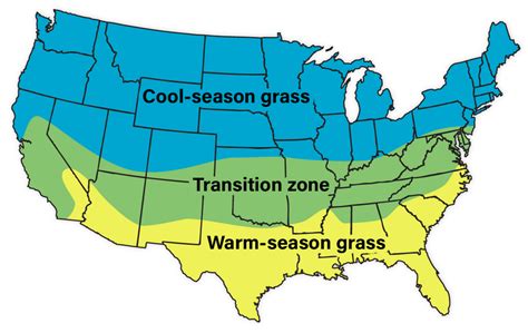 How To Use The Plant Hardiness Zone Map In Your Yard